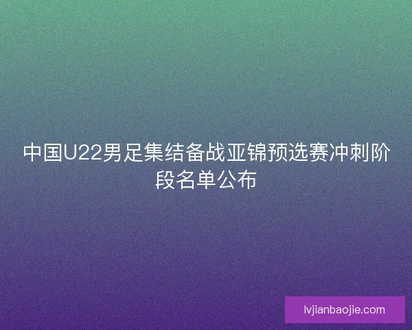 中国U22男足集结备战亚锦预选赛冲刺阶段名单公布